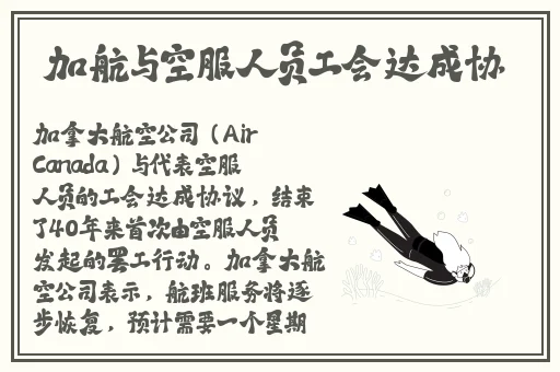 呦vodafonewifi高清